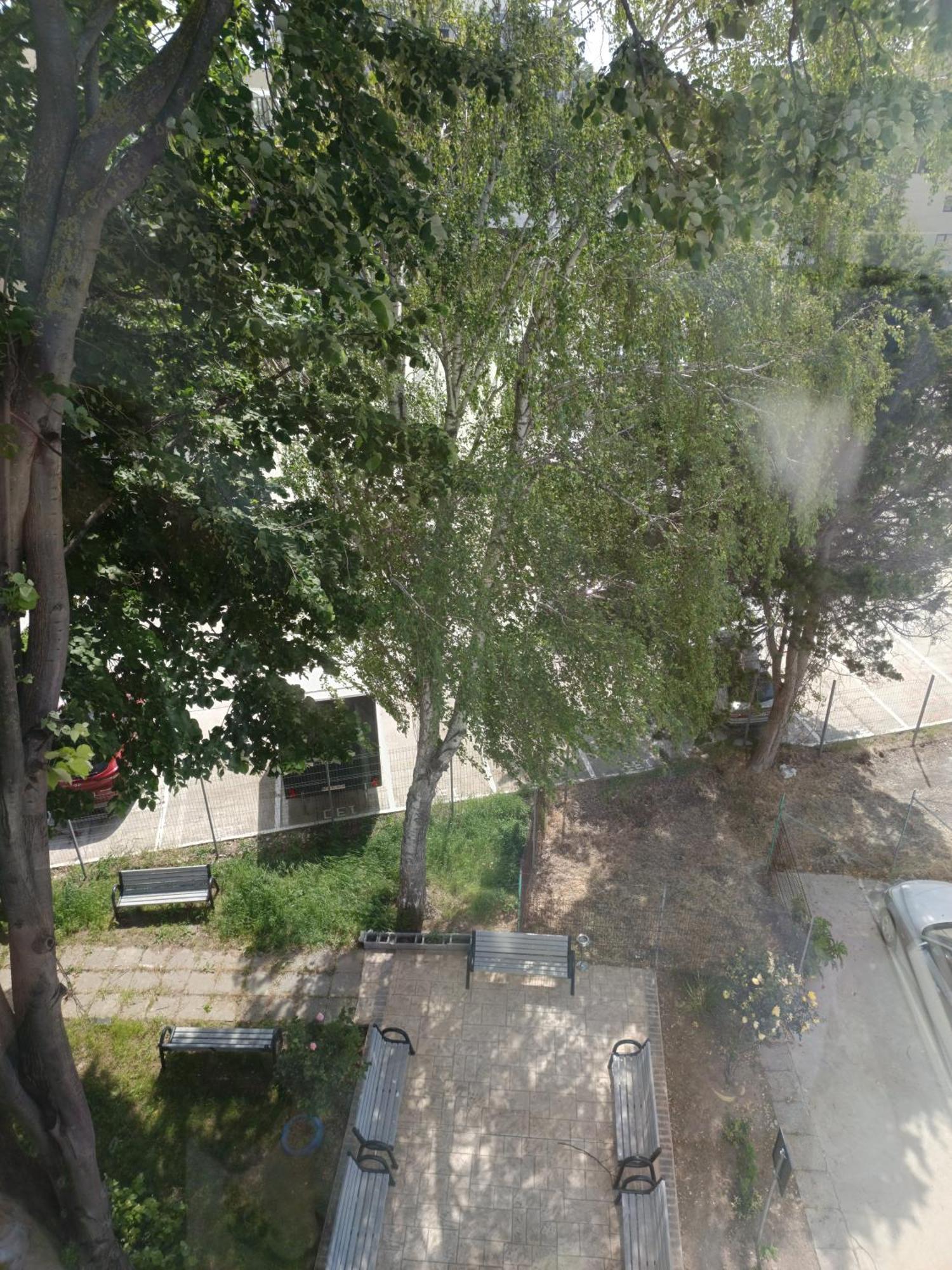 Dika Sofia Residence Mangalia Bagian luar foto